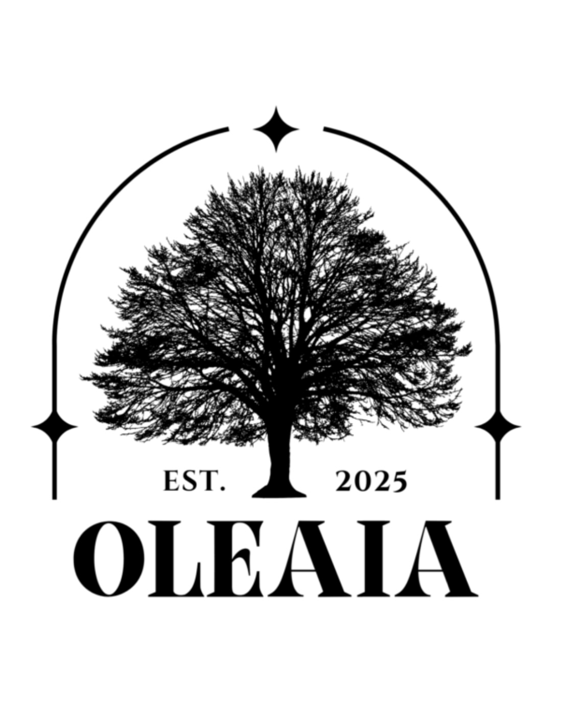 Oleaia huiles massage bio